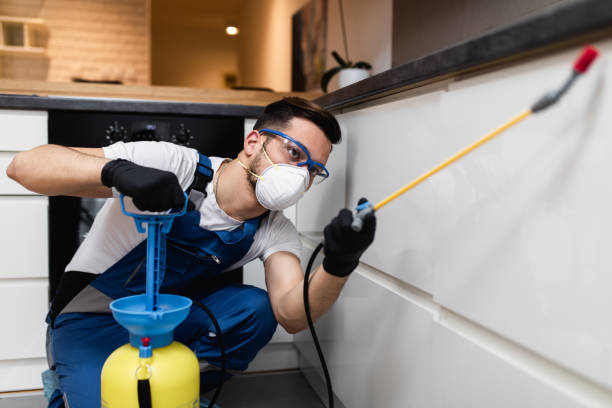Best Wildlife Control Services  in Berwick, PA