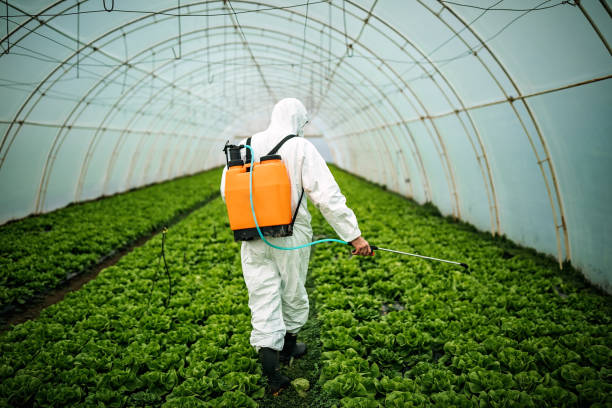 Best Emergency Pest Control  in Berwick, PA