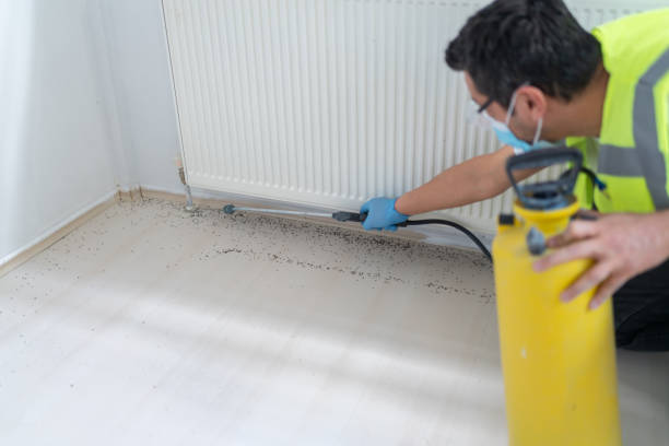 Best Emergency Pest Control  in Berwick, PA